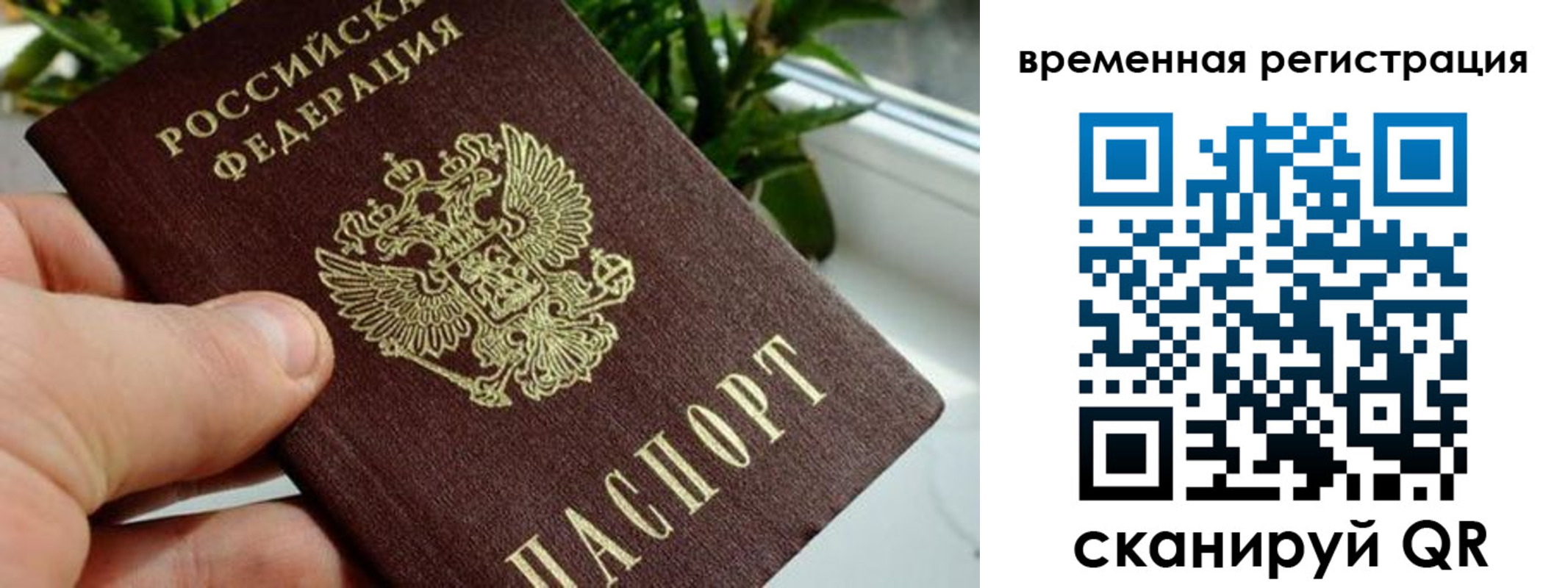 прописка поиск в Завитинске